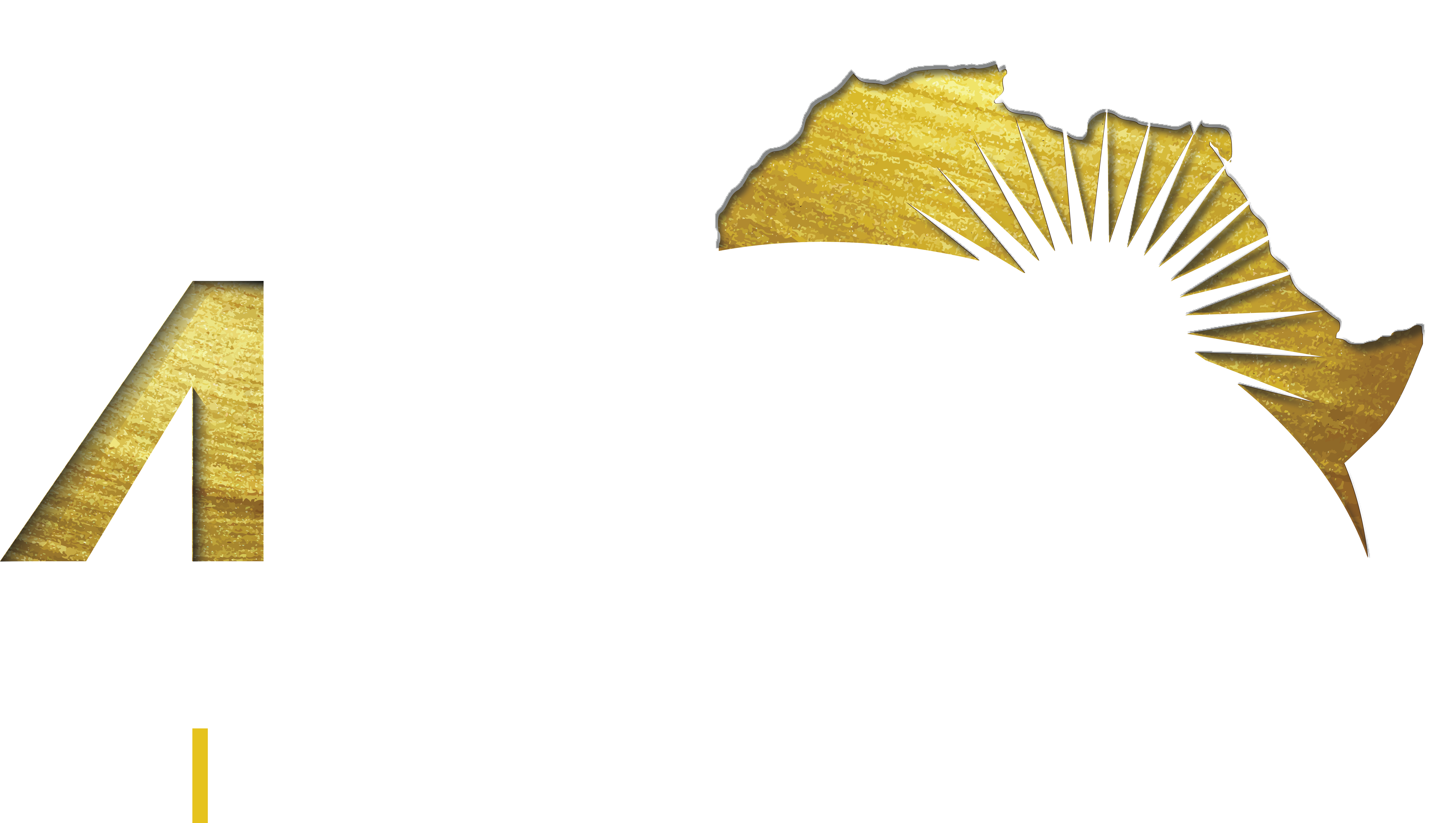 Africa Investment Forum